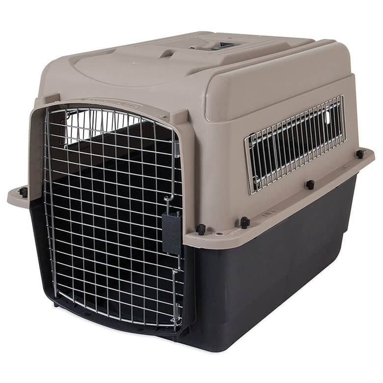 Best Crates For Dogs That Chew at Margaret Adkins blog