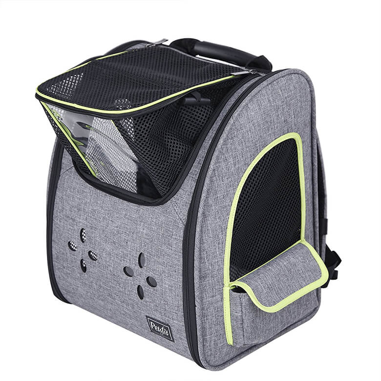 We Love These 7 Carriers for Small Dogs