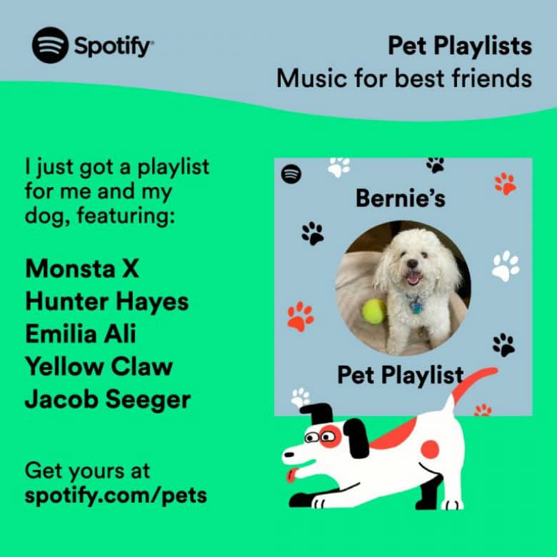 Now Your Dog Can Listen to Spotify, Too This Dogs Life
