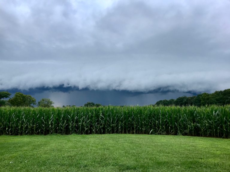 It's Raining, It's Pouring, The Whole House Is... This House of Dreams