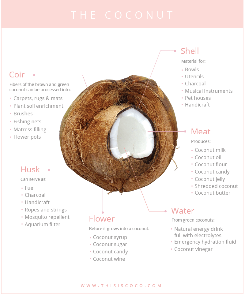 usesforcoconuts
