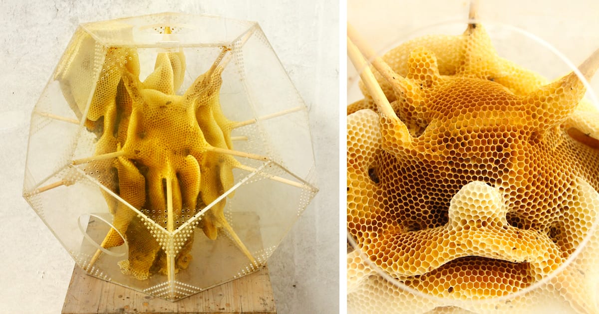 Geometric Beehive Sculptures by Ren Ri Colossal