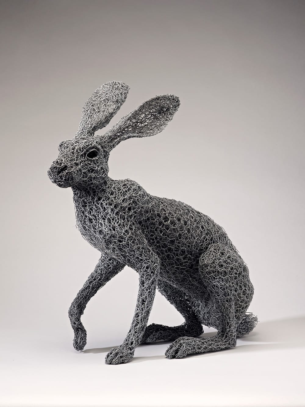Lifelike Galvanized Wire Animal Sculptures by Kendra Haste Colossal