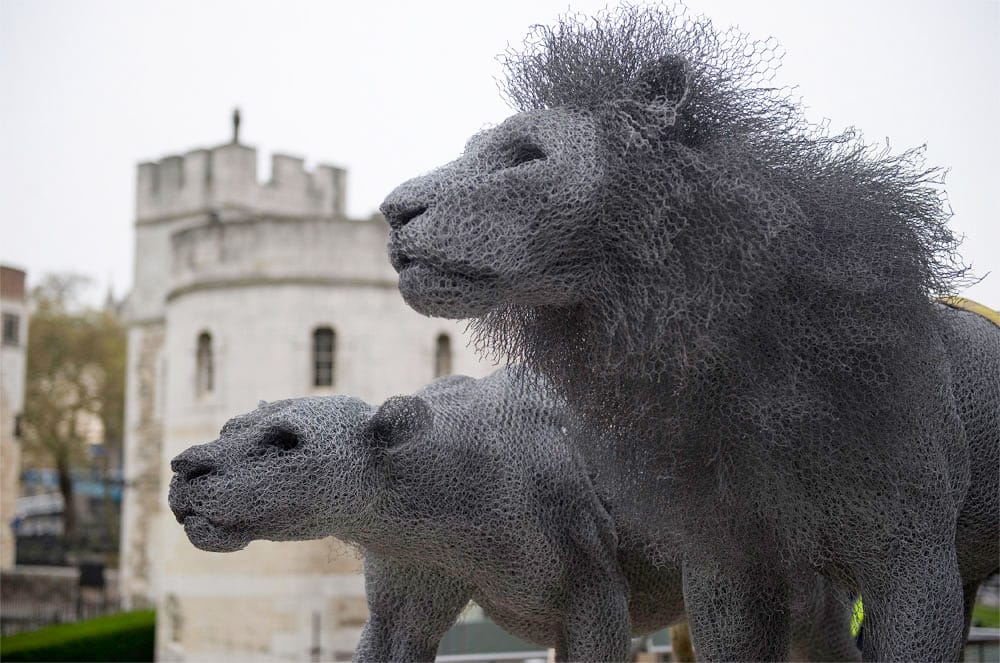 Lifelike Galvanized Wire Animal Sculptures by Kendra Haste — Colossal