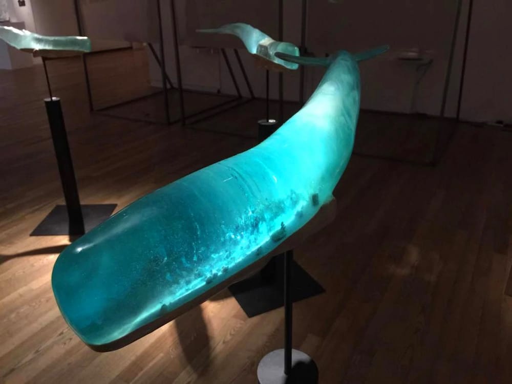 Shipwrecks and Deep Ocean Scenes Encapsulated Inside Translucent Whale