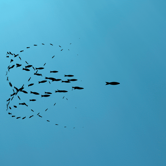 Minimalism & Multitude The Swarming Animated GIFs of