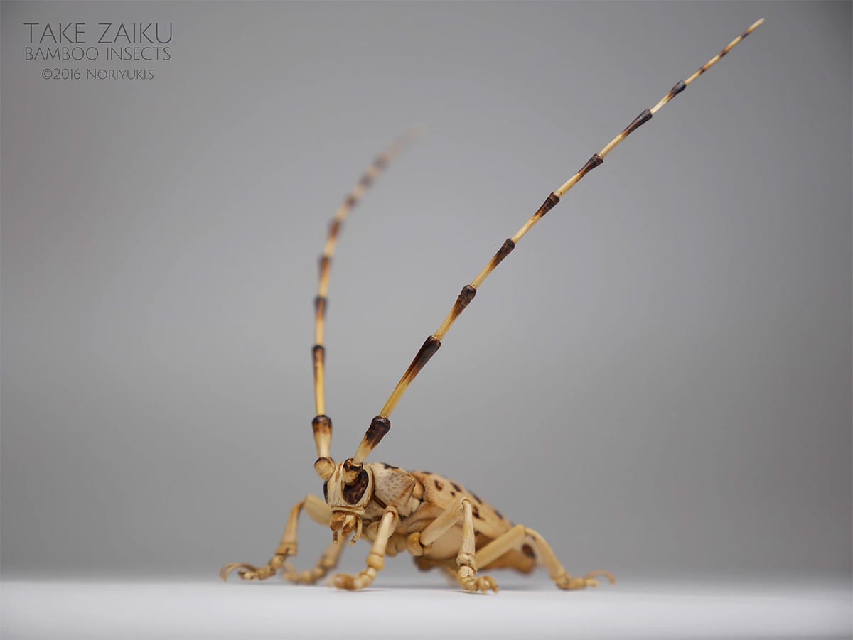 Incredibly Lifelike Insects Crafted out of Bamboo by Noriyuki Saitoh