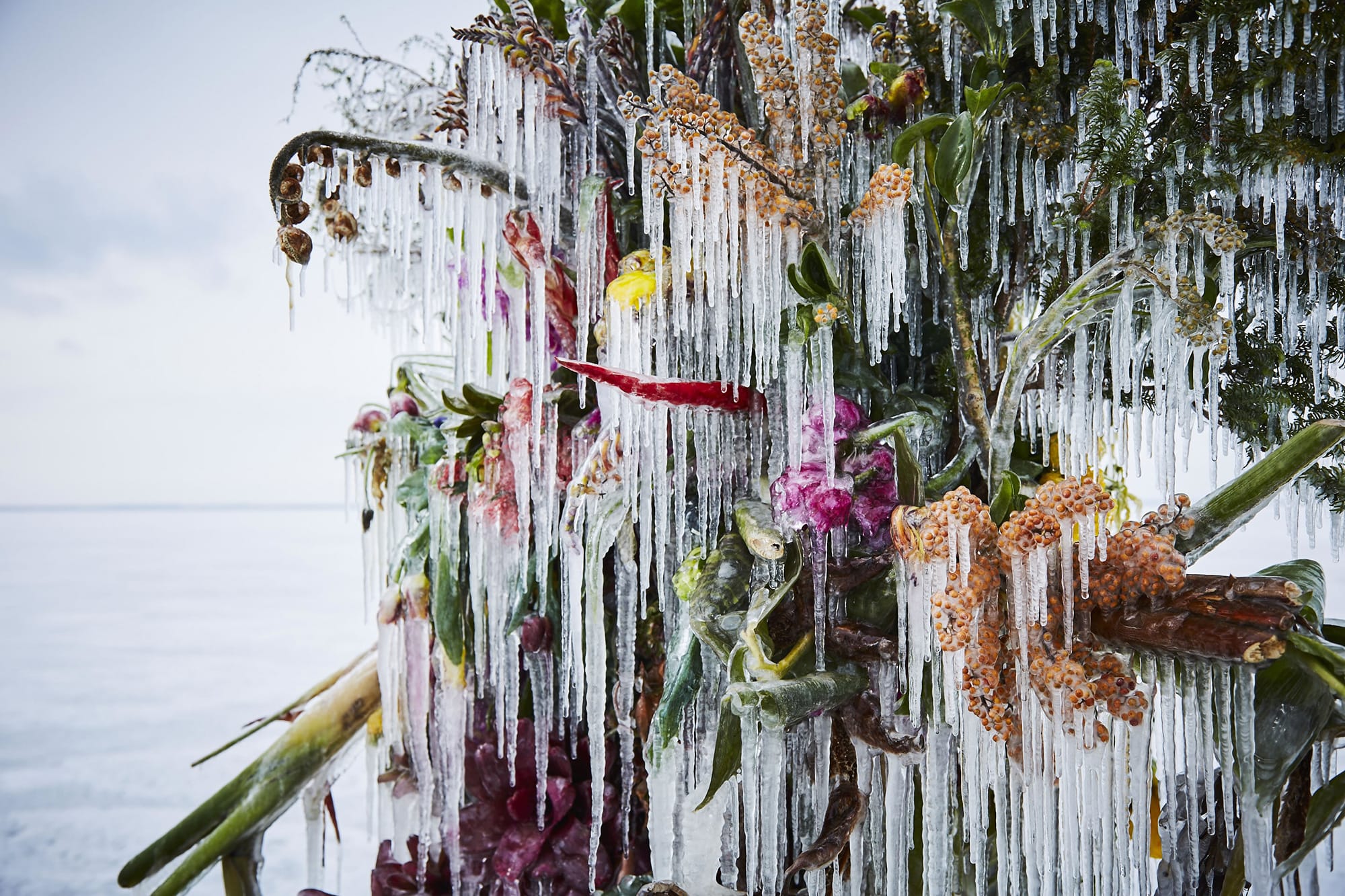 A Frozen Installation by Azuma Makoto Preserves a Vibrant Floral
