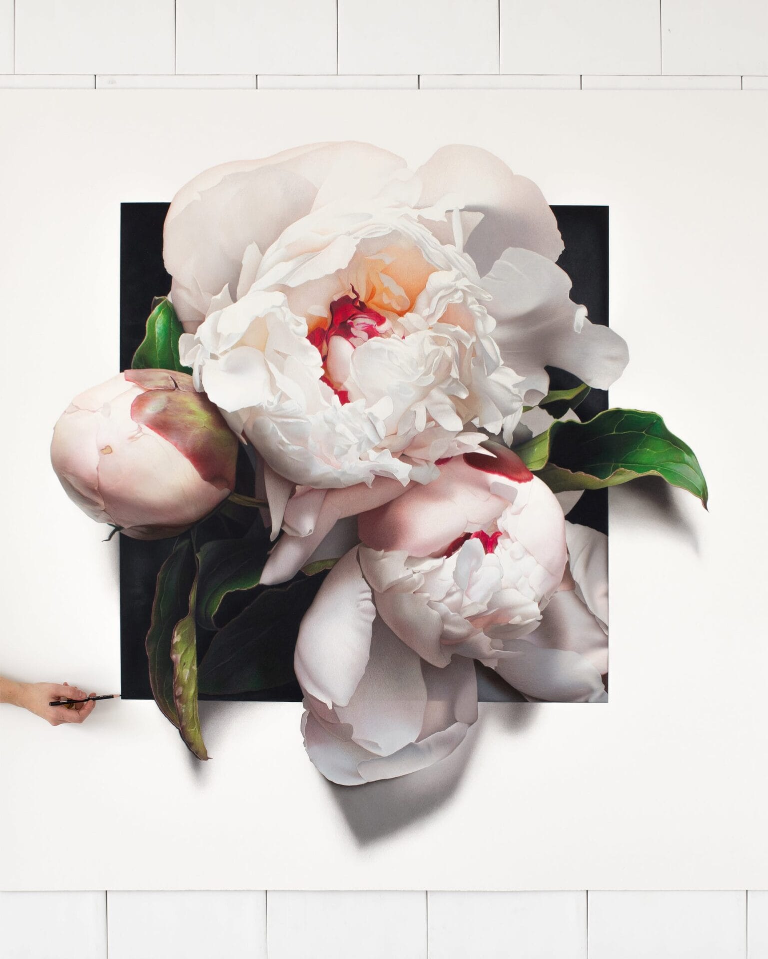 Silky Flowers Spring from CJ Hendry’s Enormous Hyperrealistic Drawings