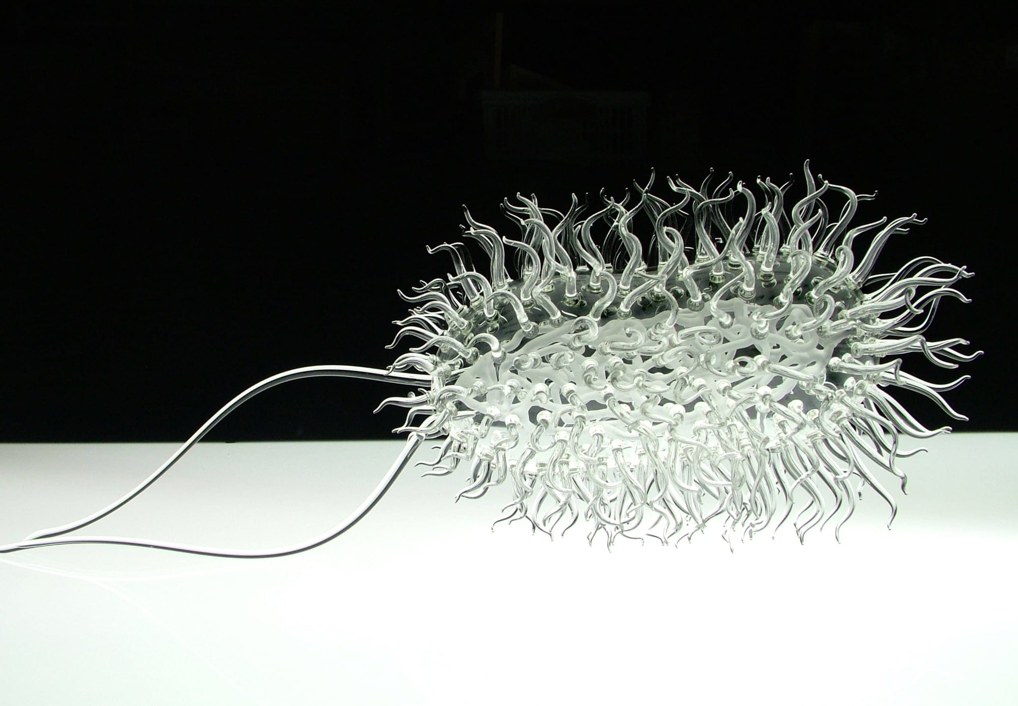 In ‘Glass Microbiology,’ Sculptures Explore the Science Behind Modeling