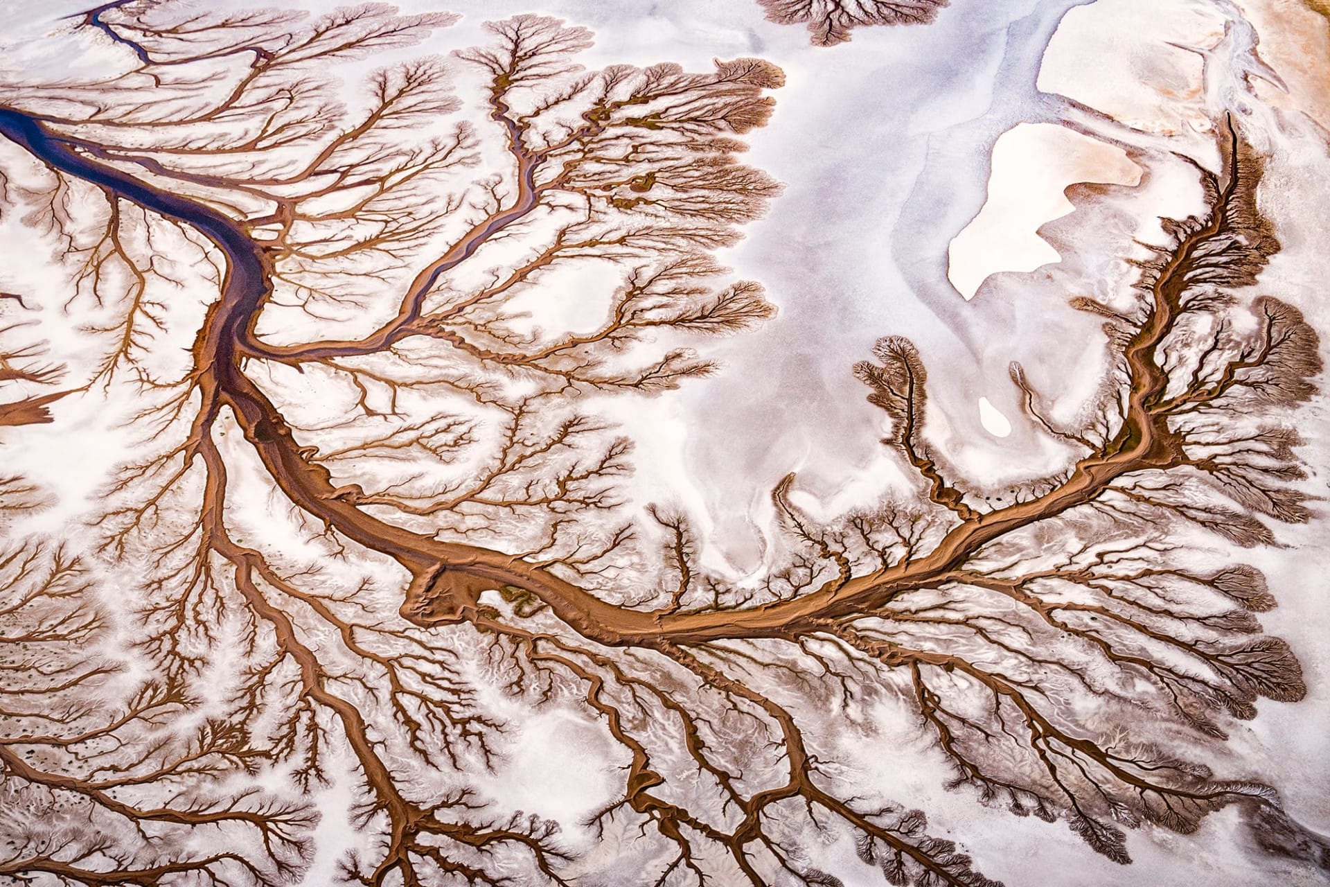 Paul Nicklen Photographs the Colorado River as It Etches Itself Like