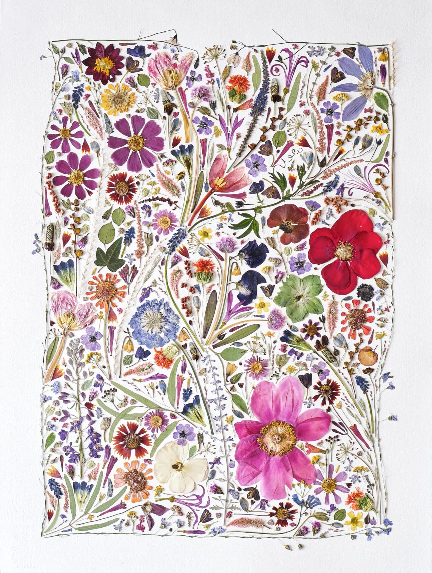 Flower Press Studio’s Colorful Compositions Preserve Botanicals and