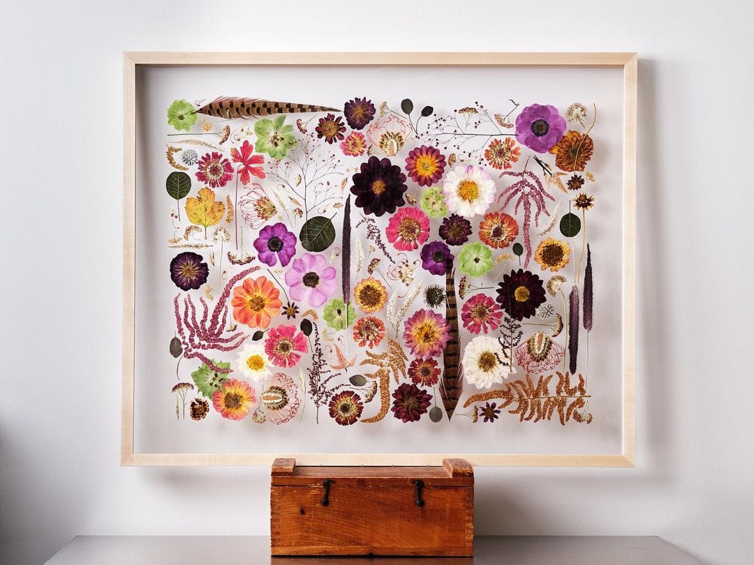 Flower Press Studio's Colorful Compositions Preserve Botanicals and
