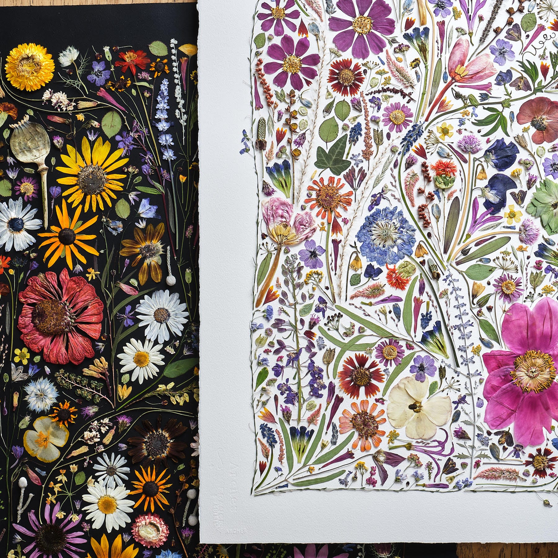 Flower Press Studio’s Colorful Compositions Preserve Botanicals and