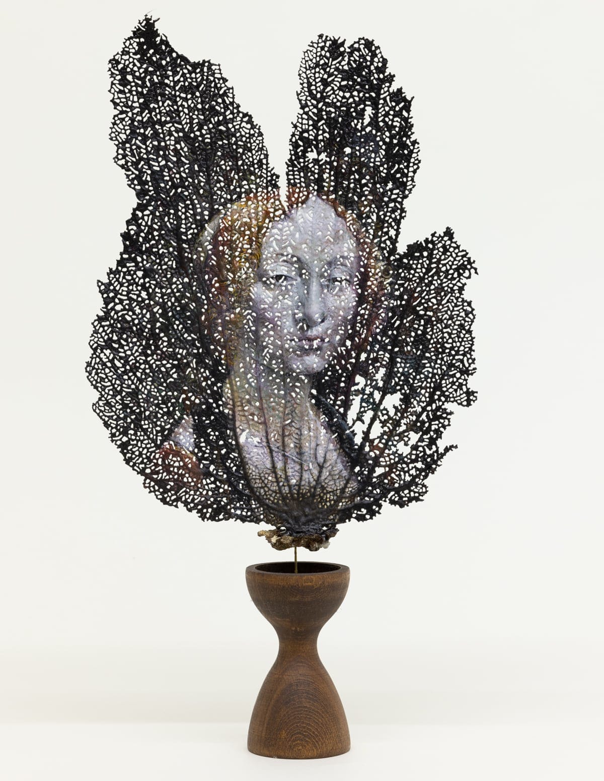 Reflecting Time Passing, Chris Oh Reinterprets Works of the Northern