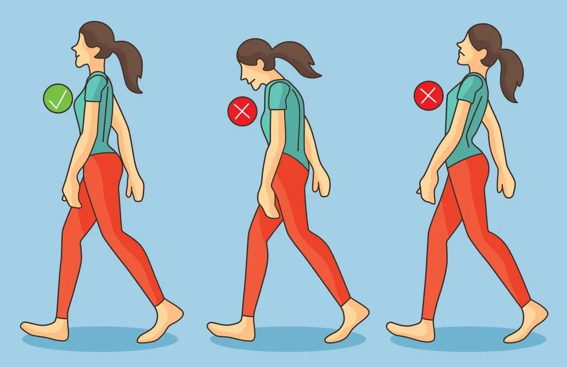 How Many Muscles Does it Take to Walk? This Is Why I'm Fit