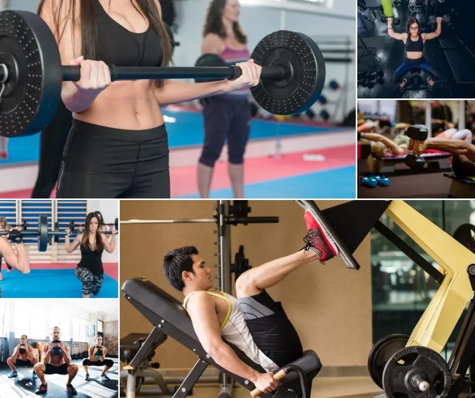 UpperLower vs PushPull/Legs (PPL) Splits This Is Why I'm Fit