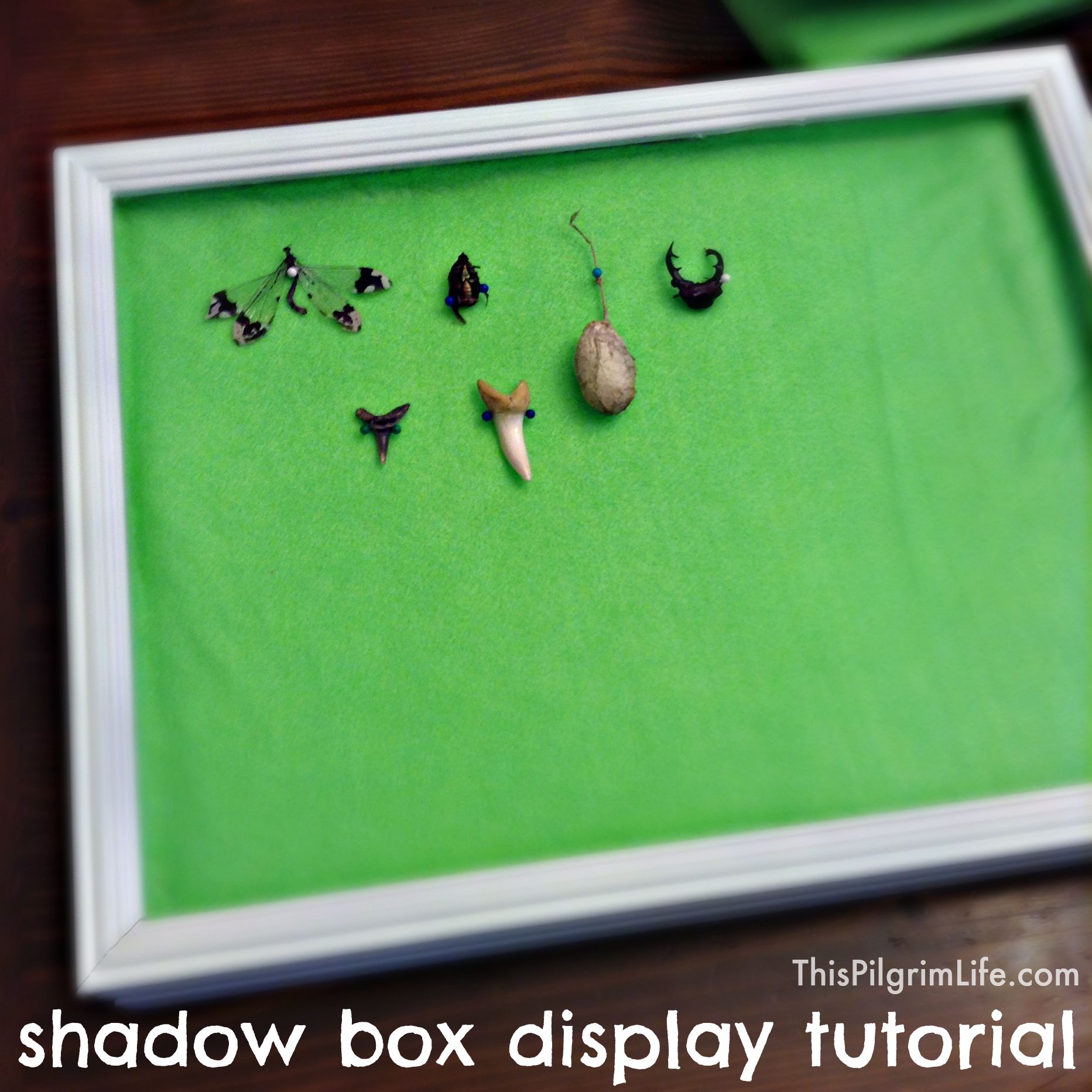 Shadow Box Display Tutorial This Pilgrim Life
