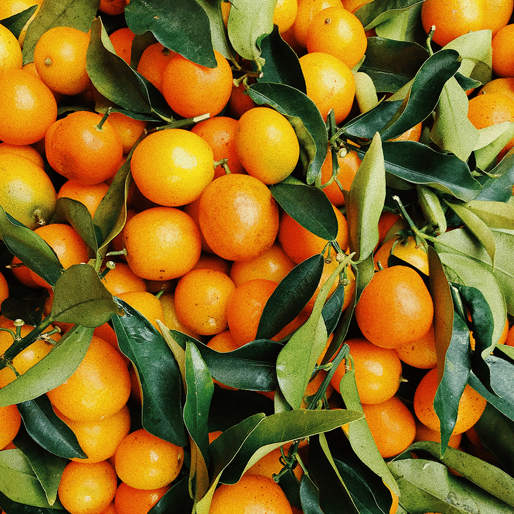 Agricultural Crops Fruits & Vegetables Seasons in Egypt