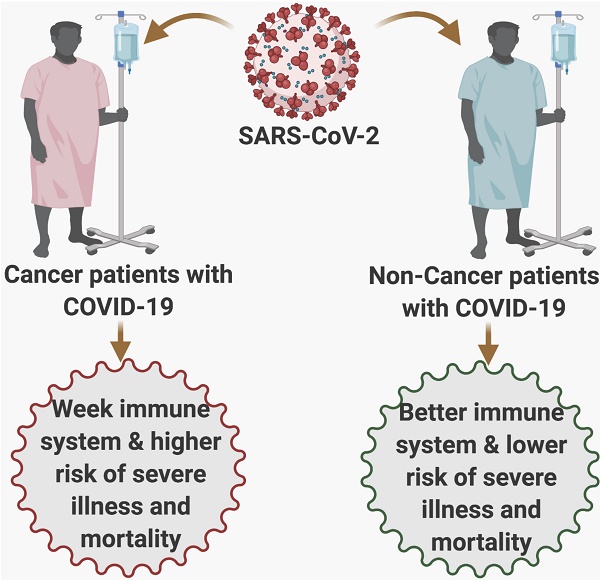 COVID19 and Cancer Comorbidity Therapeutic Opportunities and Challenges