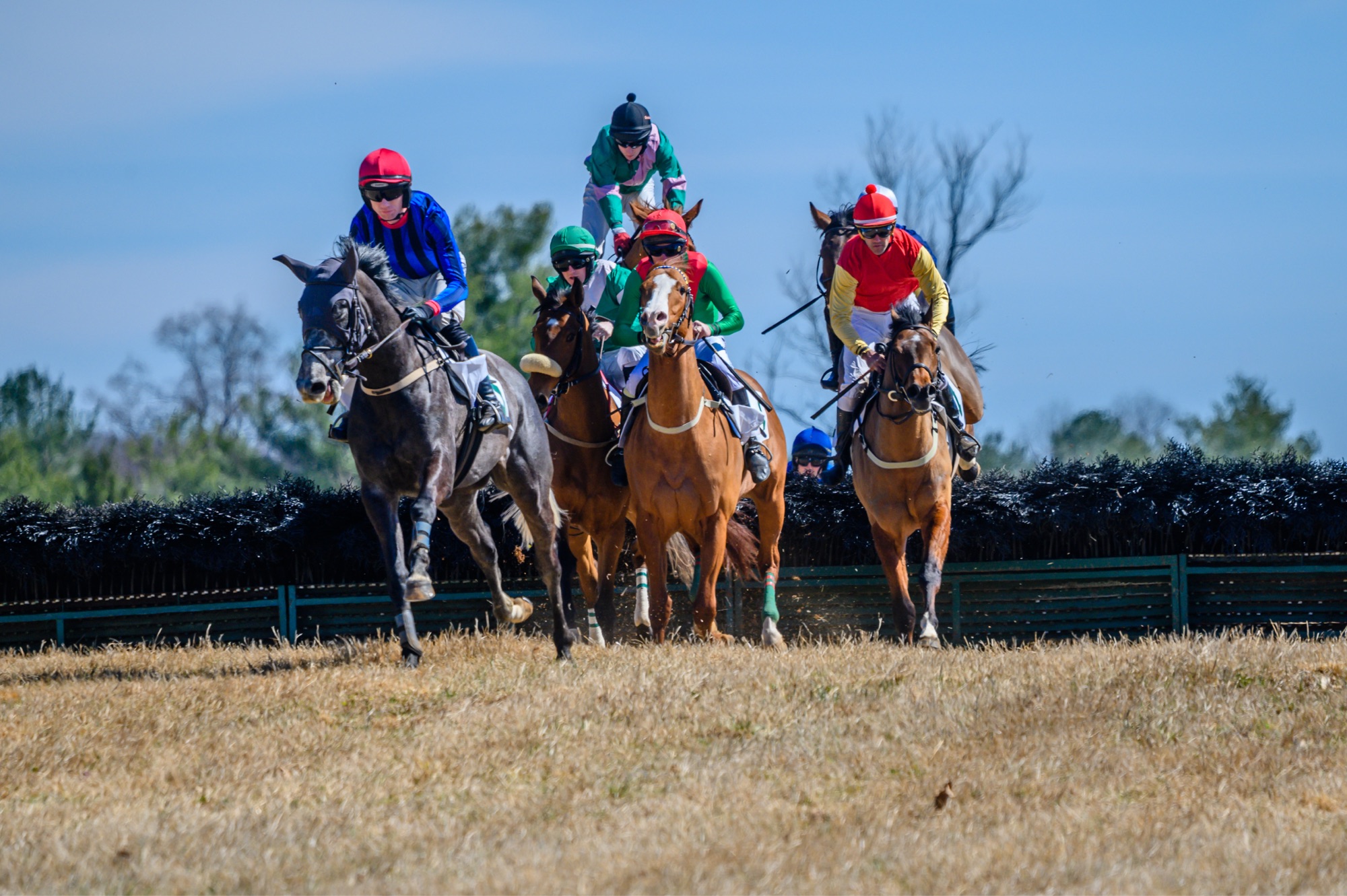 Thomas & Talbot THE 2019 VIRGINIA FALL RACES \' A HUNT COUNTRY TRADITION