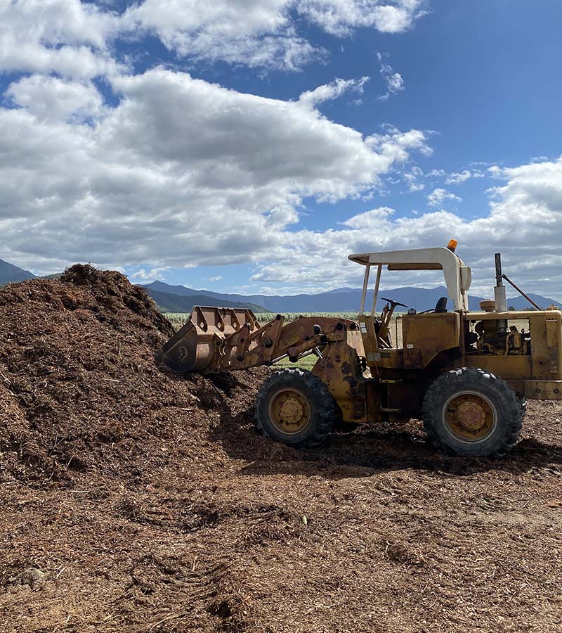 Mulching & Wood Chip Supply Cairns, North Queensland Thomas