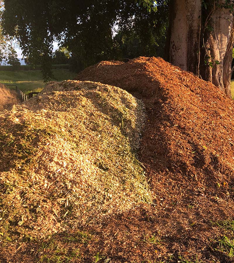 Mulching & Wood Chip Supply Cairns, North Queensland Thomas