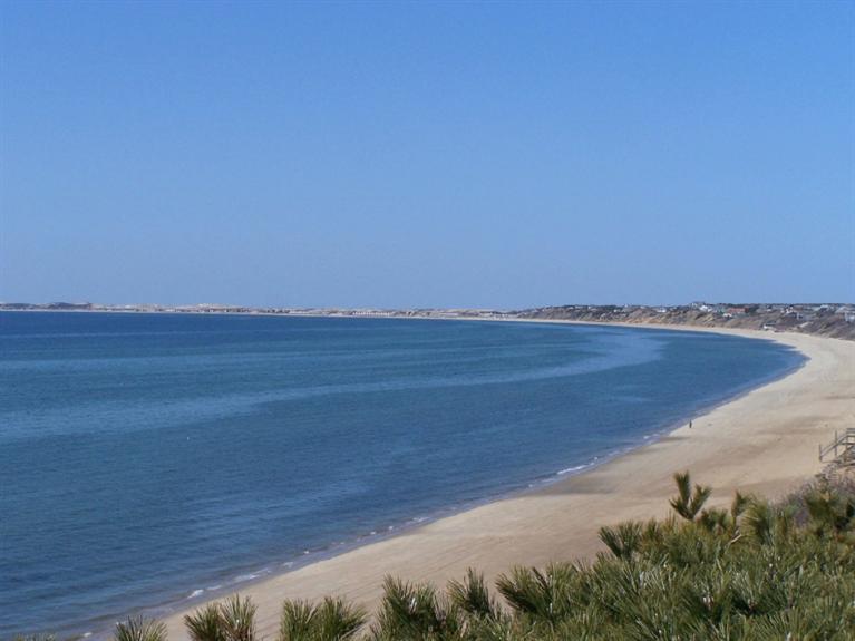 Price Changed to 1,495,000 in Truro! Thomas D. Brown Real Estate