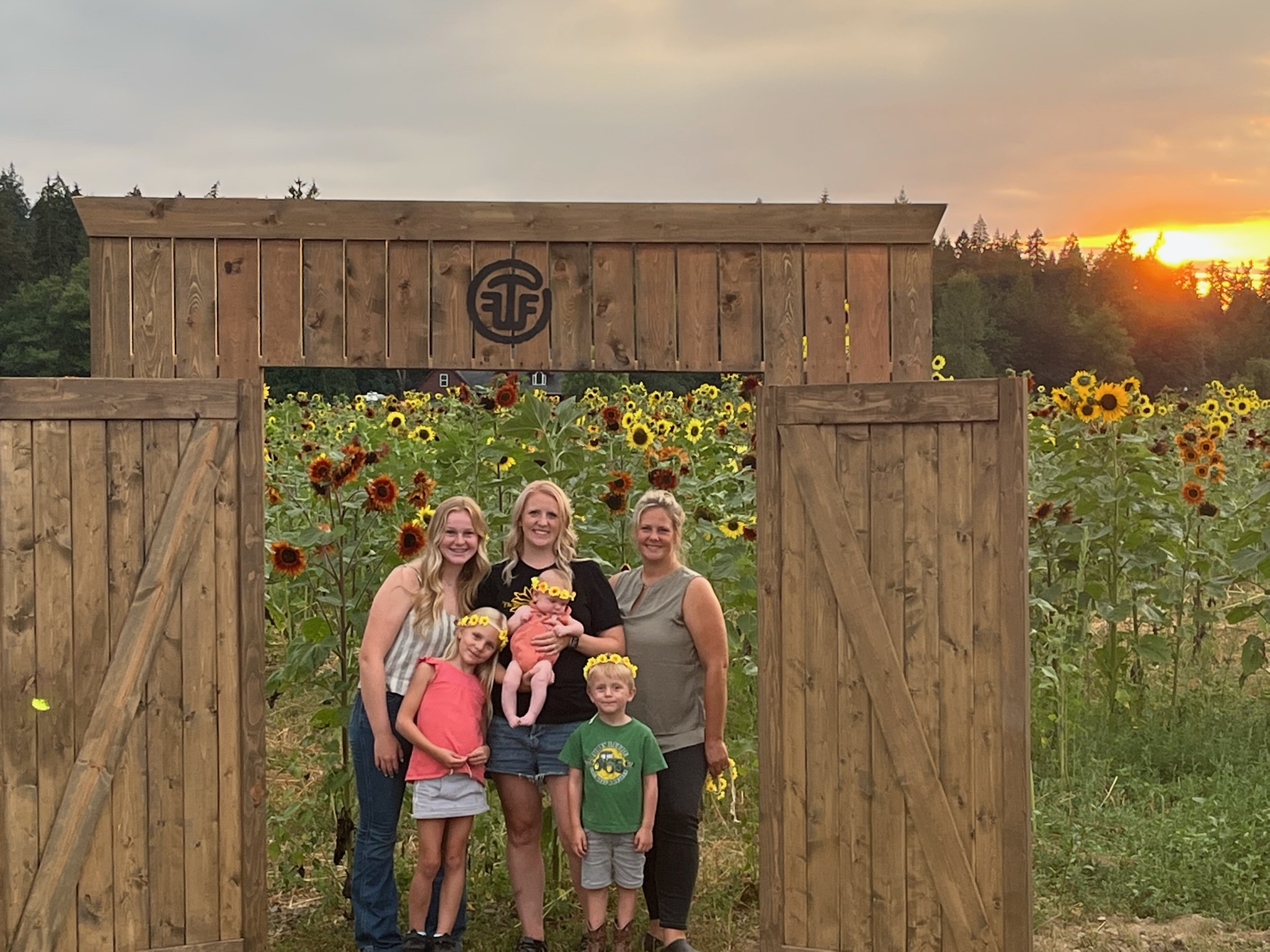 Sunflowers Patch Summer Thomasson Family Farm in Enumclaw