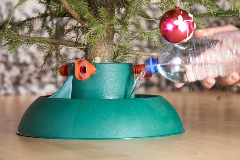 How To Prolong Your Christmas Tree Thompson &