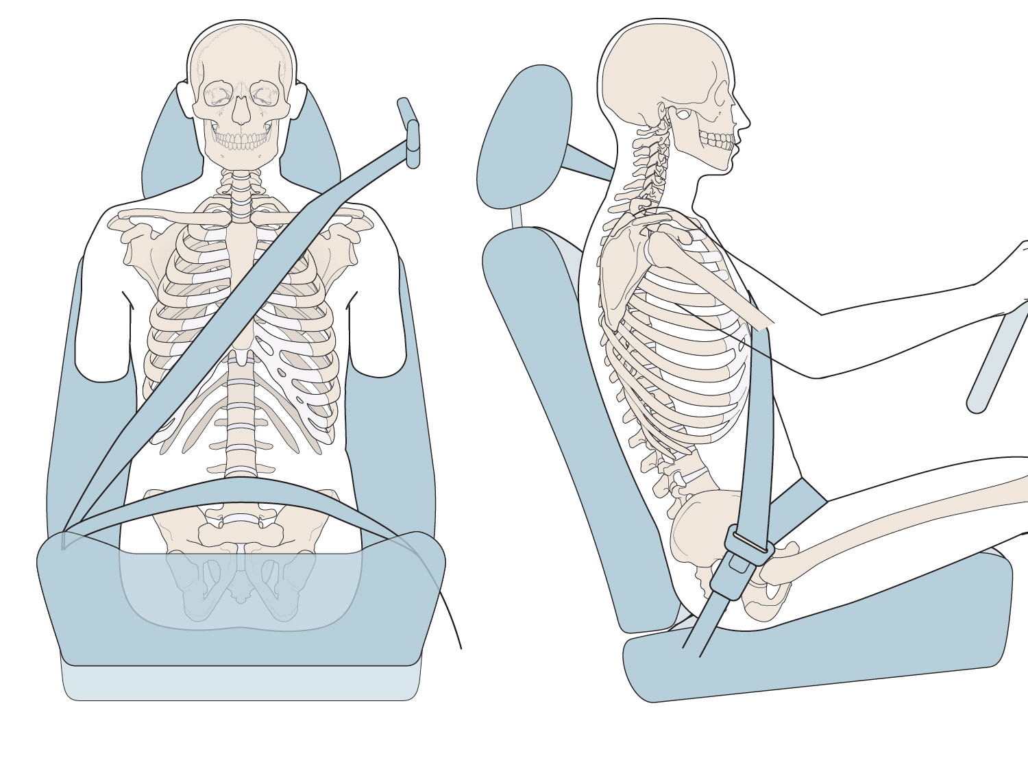 Texas Seatbelt Law Plaintiffs Held Responsible for Failure to Wear