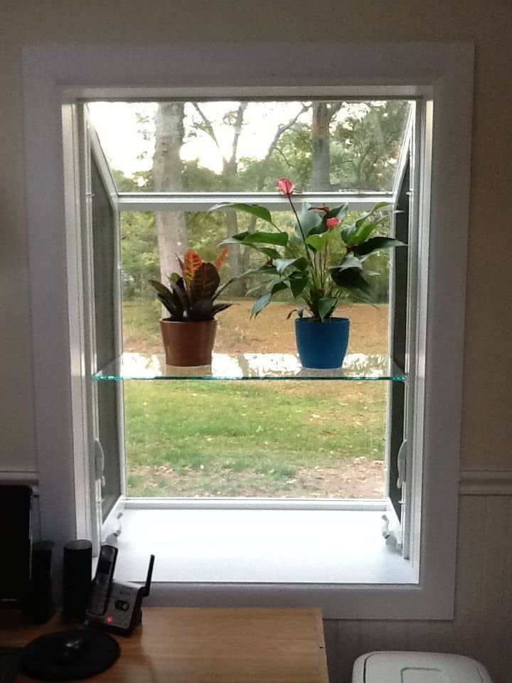 What can I grow in my Garden Window? Thompson Creek
