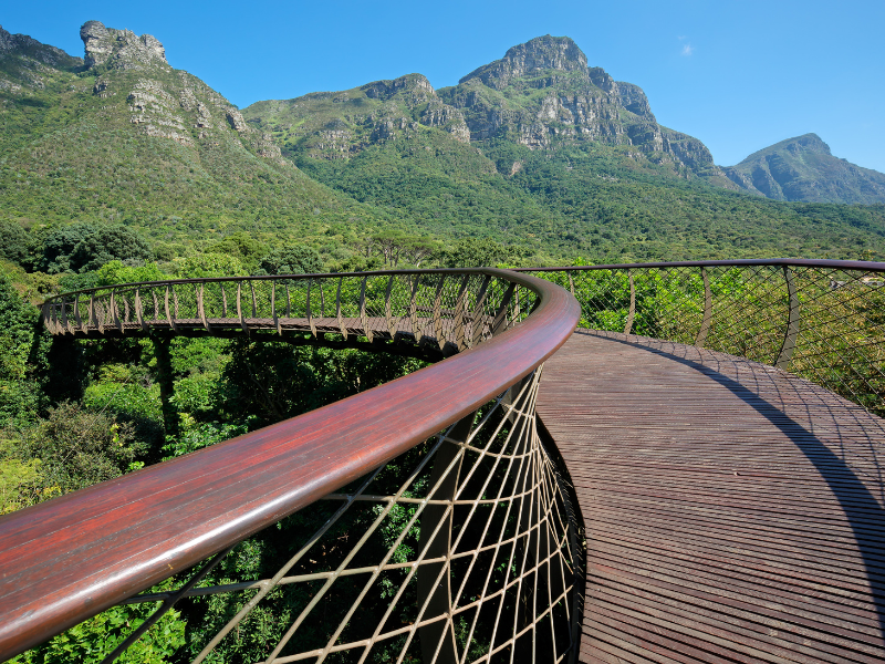 WheelchairFriendly Holiday Destinations Blog Thompsons