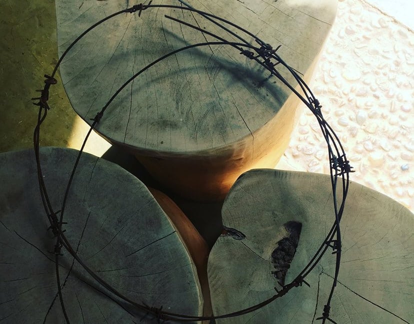 posts Archive Page 20 of 21 Thornybush