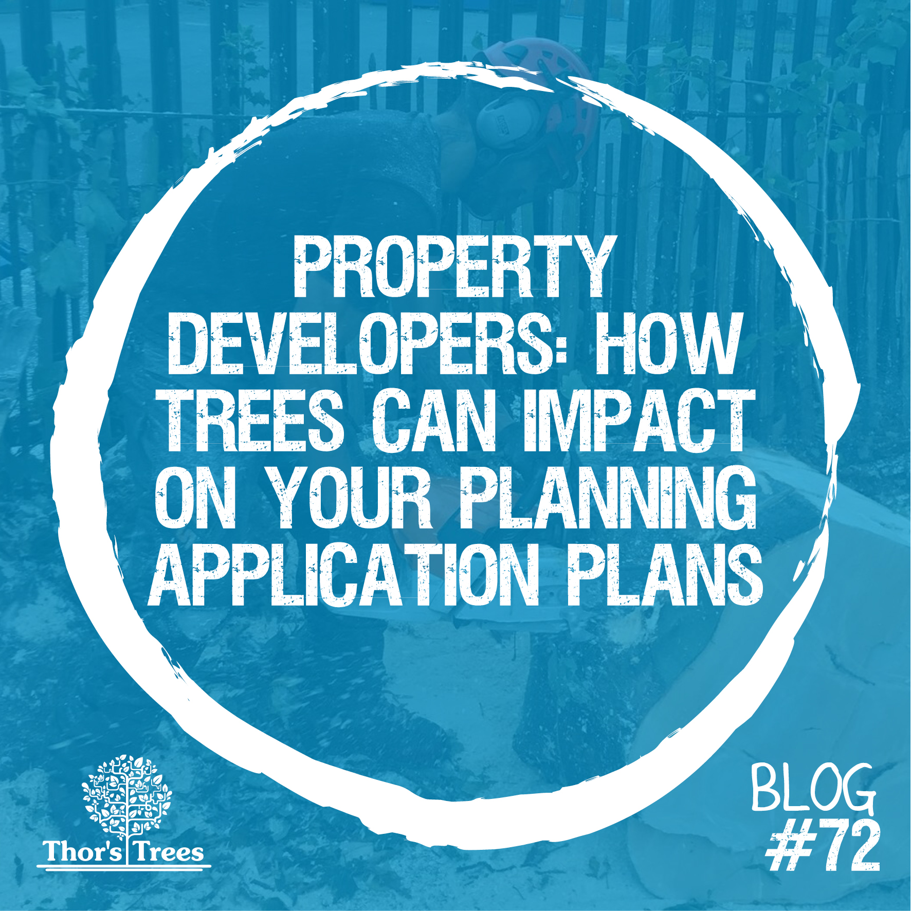 Property developers How trees impact planning application plans