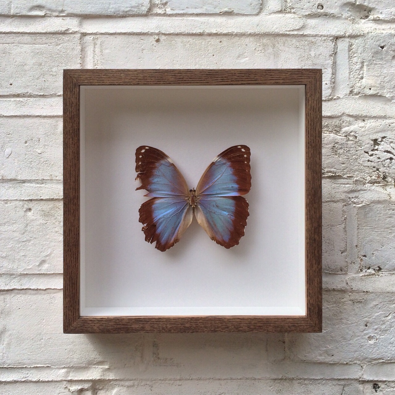 Float Picture Framing in West Hampstead, North London UK