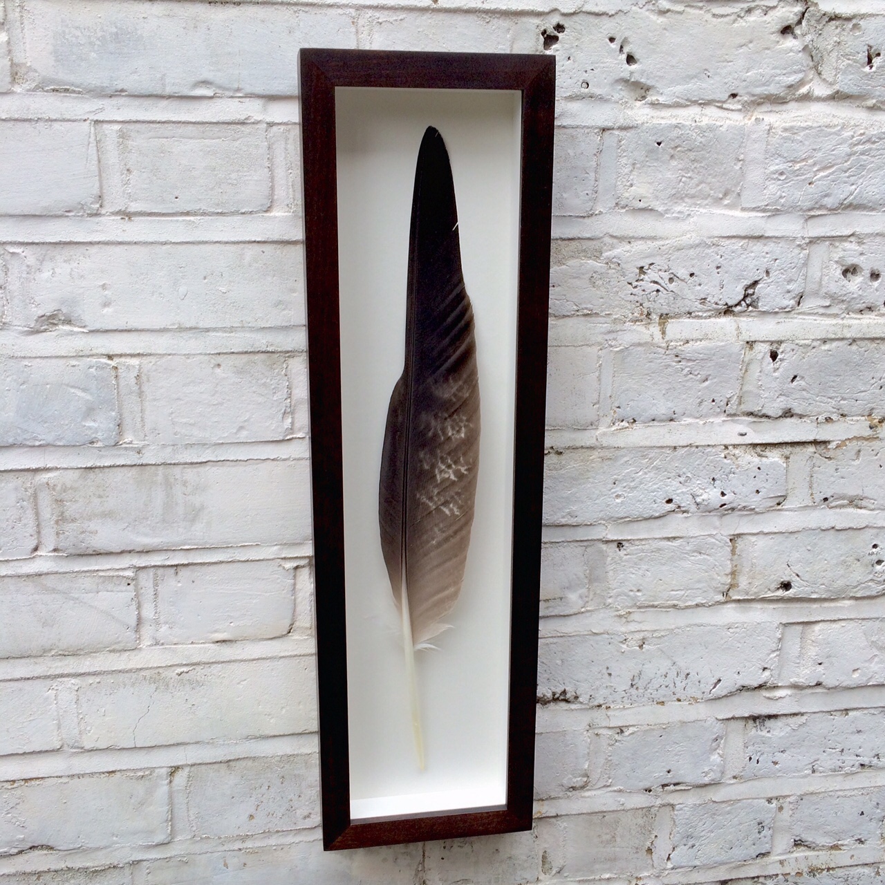 Float Picture Framing in West Hampstead, North London UK