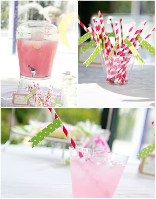 Pink & Green Turtle Party Thoughtfully Simple