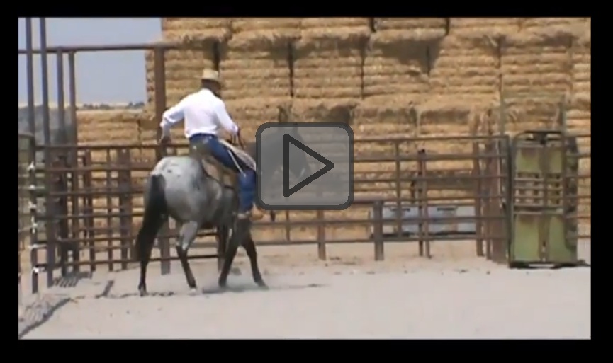Three Bar Quarter Horses Munns Ranch 2013 16th Annual Production