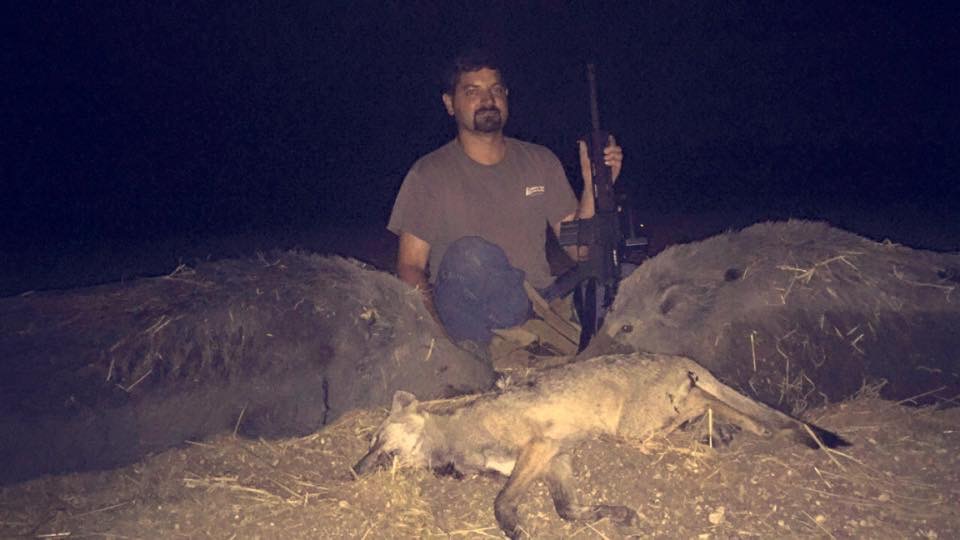 Hog and Pig Hunts in North Texas