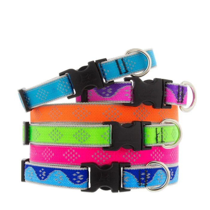 Dog Training Supply List • Three Dogs Training