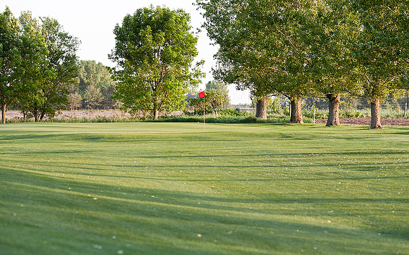 Course Three Elms Golf