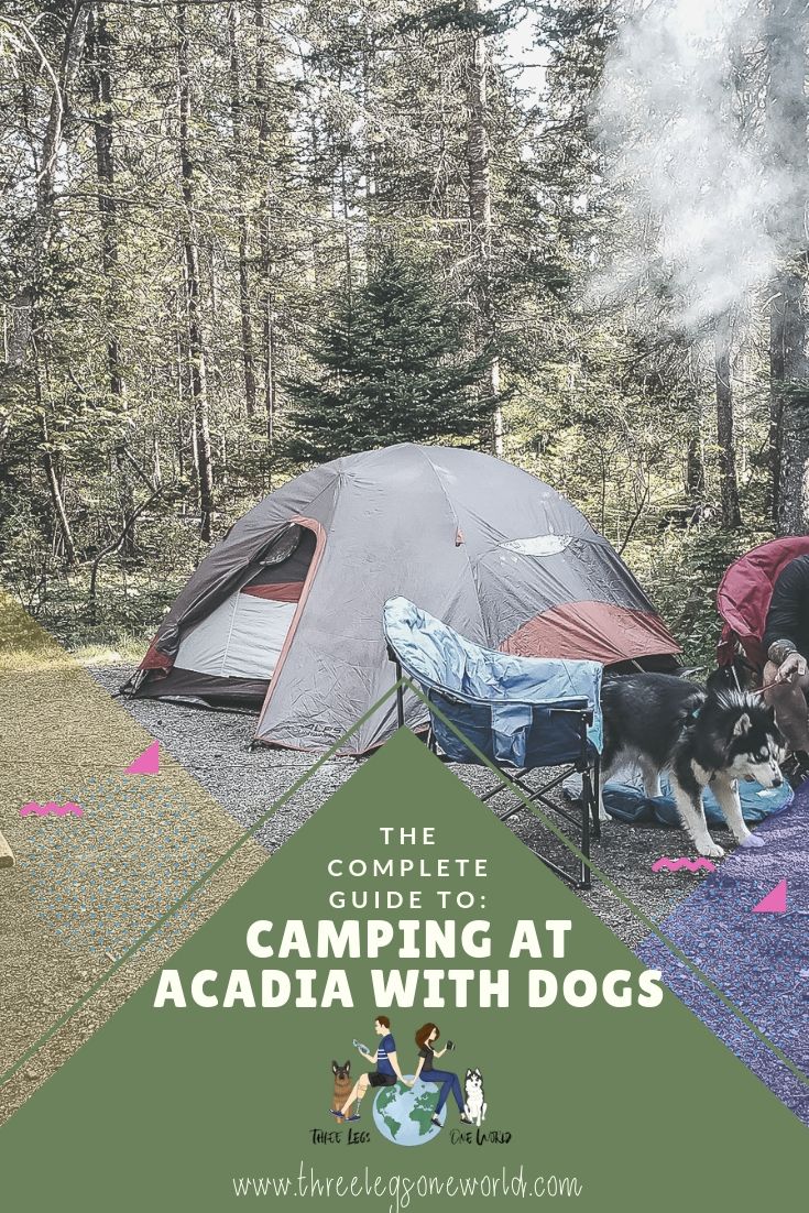 The Complete Guide to Camping at Acadia with Dogs