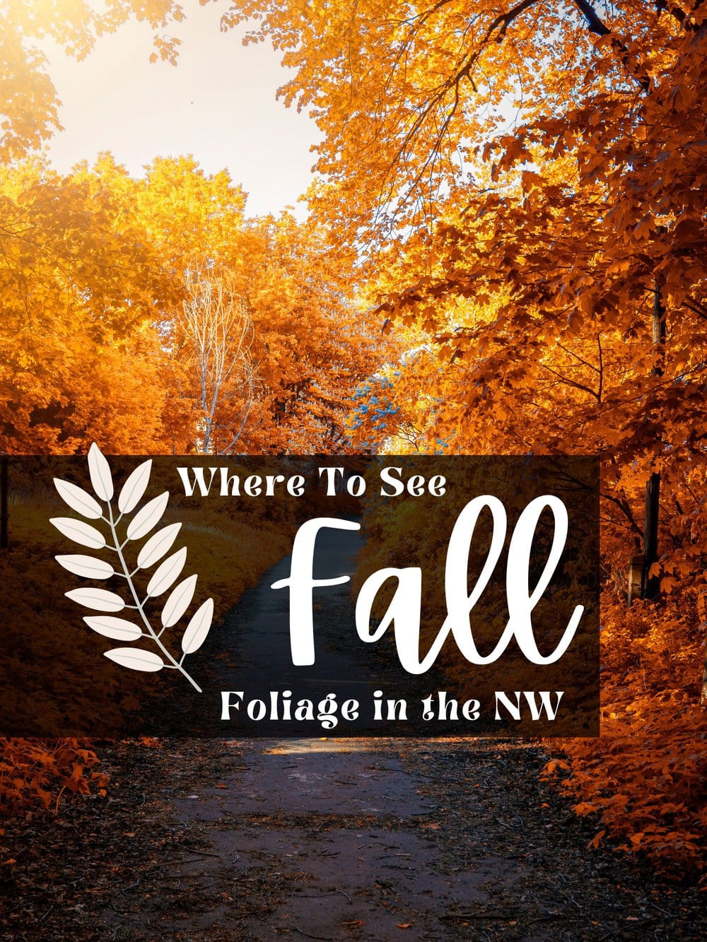 Fall Foliage Places to View in Seattle, Portland & More! Thrifty NW Mom
