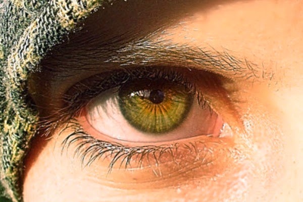 Hazel Eyes 10 Surprising Facts You Shouldn't Miss Thrombocytes
