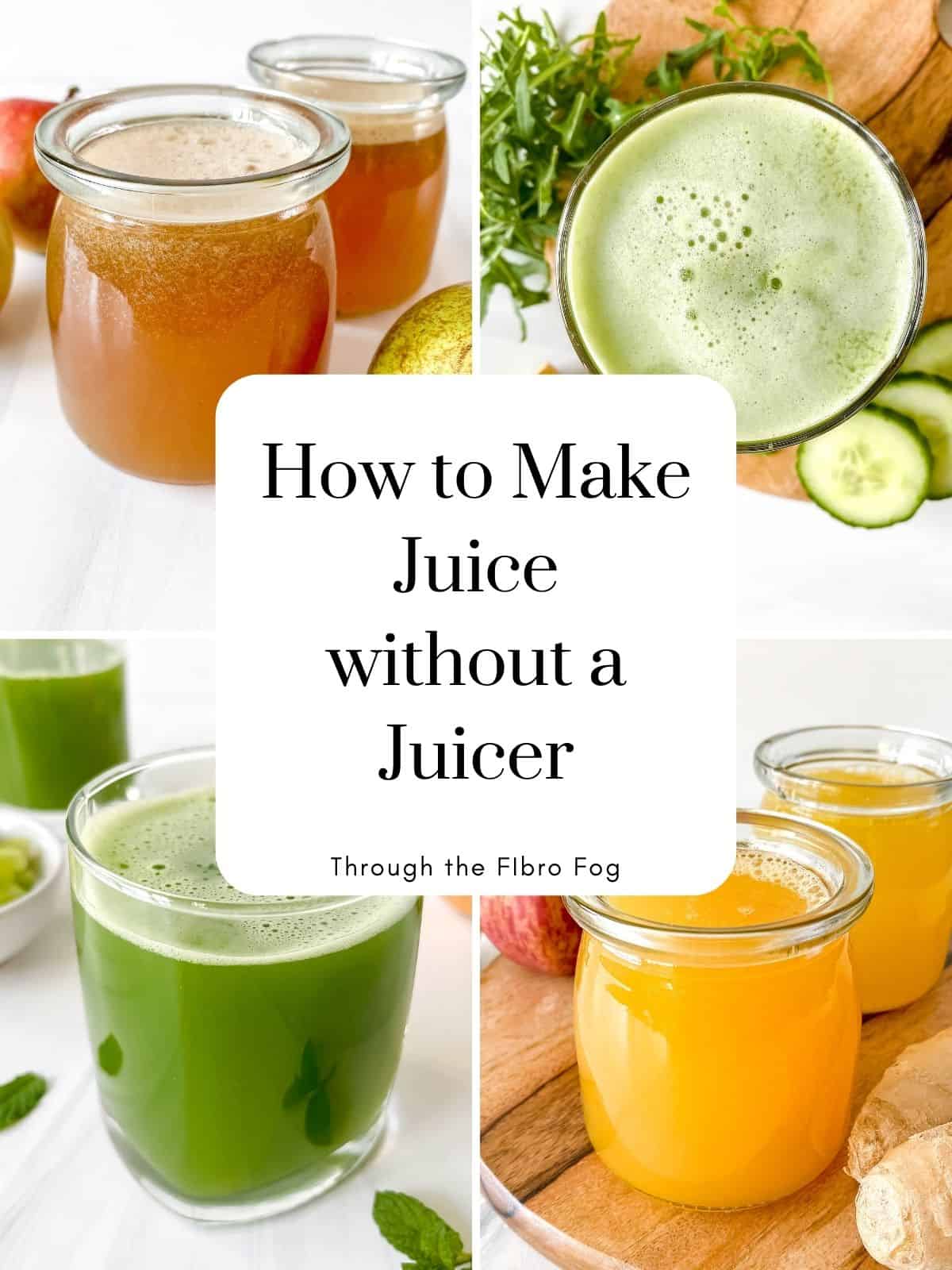 How to Make Juice Without a Juicer - Through The Fibro Fog