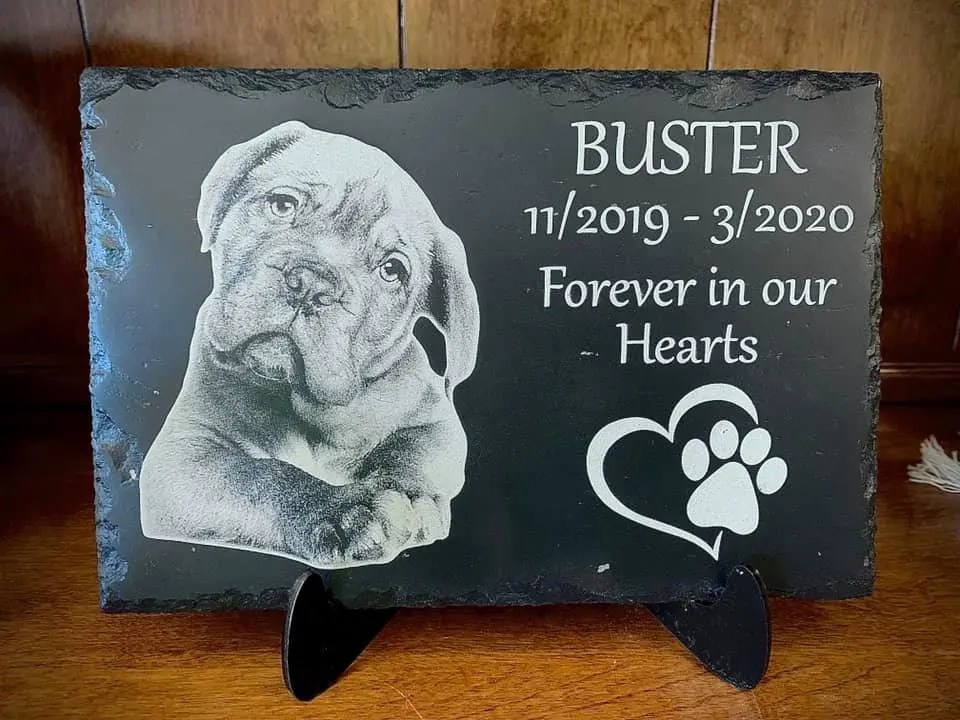 A Guide To Laser Engraving Stone Thunder Laser Engraver