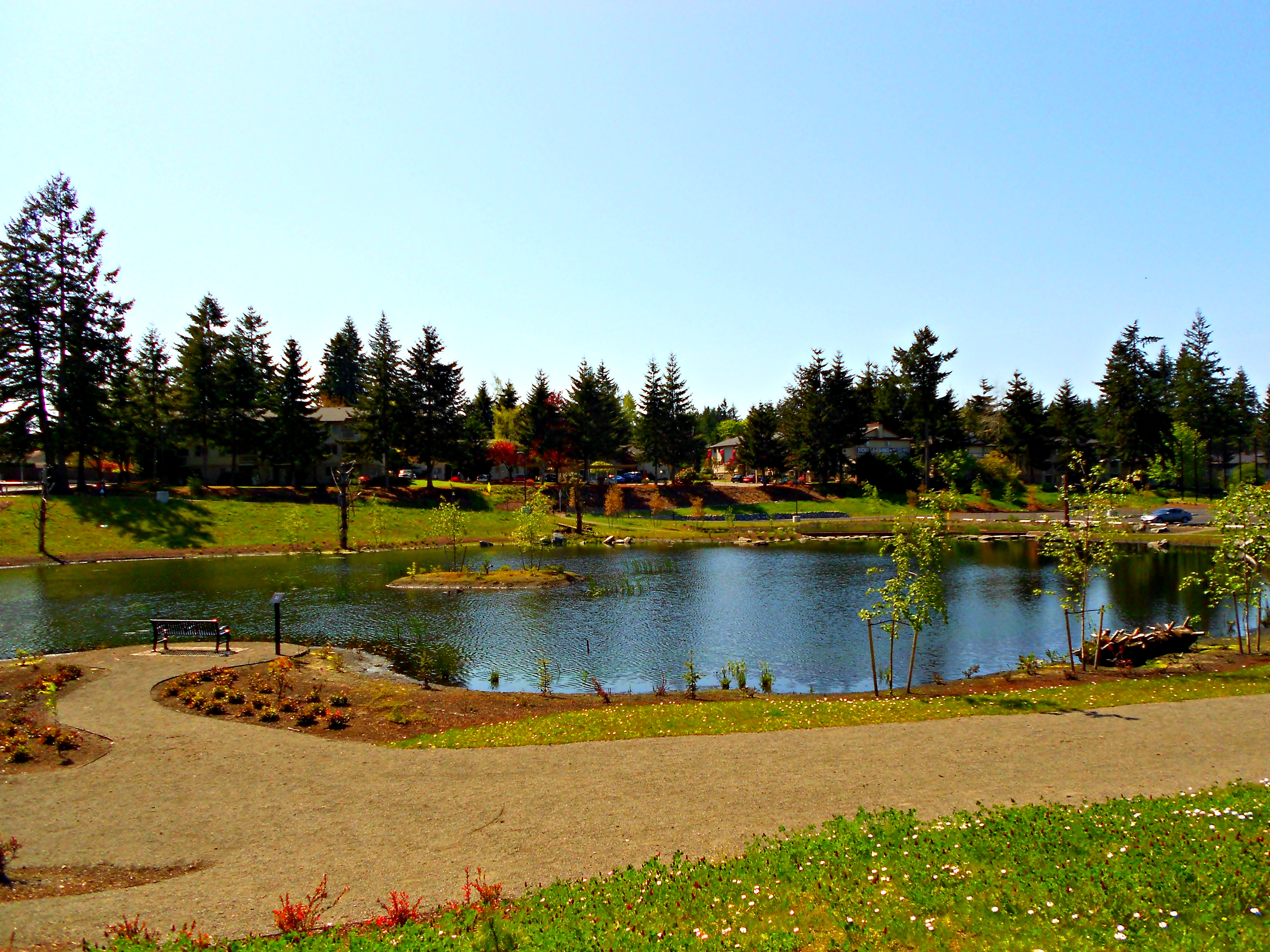 Olympia’s Yauger Park The Life Breath of The Locals ThurstonTalk