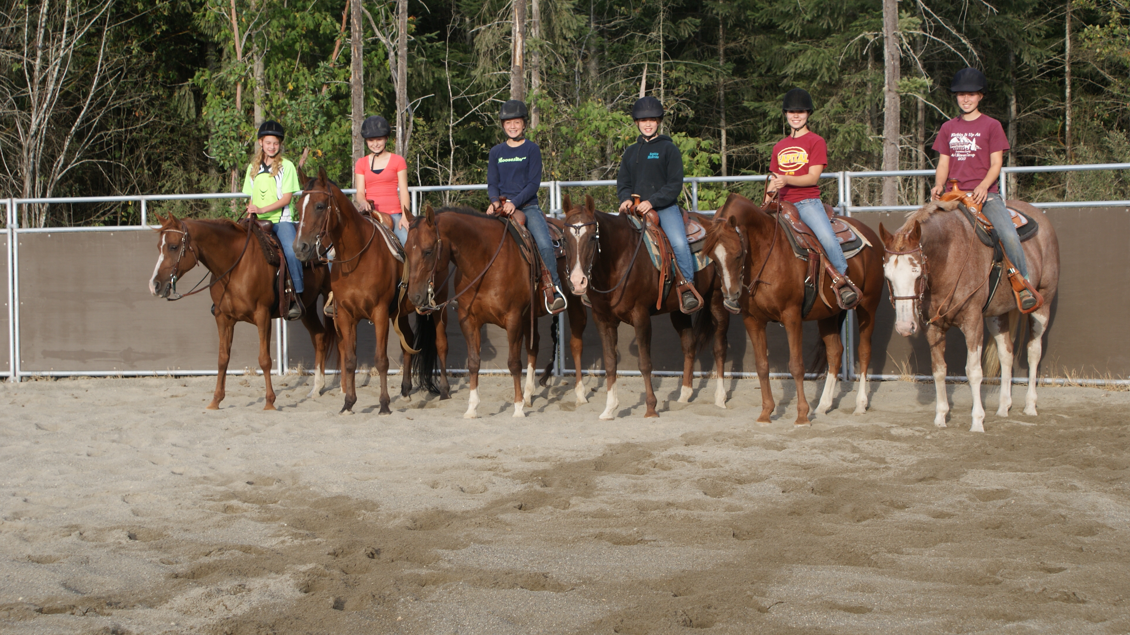 Thurston County 4H Horse Program Letting Kids Follow Their Horse