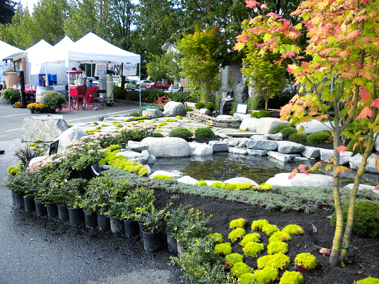 Olympia Master Builders' BIG Home & Garden Show Is Right